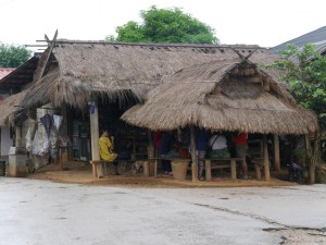 P1010520